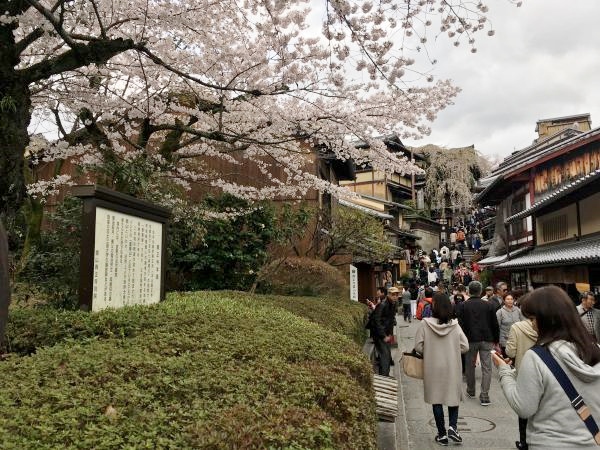 京都の街歩き
